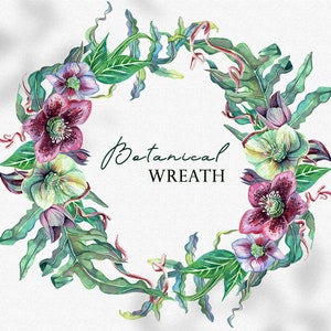 Acuarela de corona botánica, composición de follaje de flores para invitación de boda, gráficos florales, imágenes prediseñadas PNG digitales, marco de vegetación
