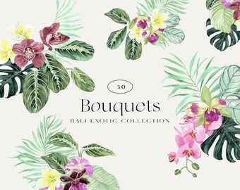 Bali Tropical Acuarela floral Ramos clipart, flores exóticas y arreglos de hojas de la selva, invitación de boda paradisíaca Orquídeas Maranta