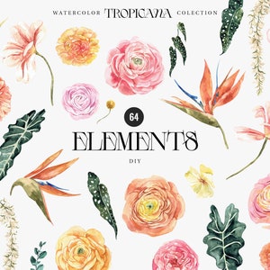 Tropicana aquarela floral Elements DIY, flores tropicais de verão em aquarela, clipart de pássaro do paraíso, cartão de convite de casamento clipart digital
