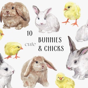 Elementi essenziali di PRIMAVERA - Pulcini di coniglietti di Pasqua, pittura di coniglio, simpatici animali png, primavera natura bambini vivaio stampa lepre animale Clipart