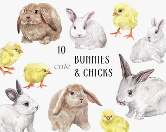 SPRING Essentials - Easter Bunnies Chicks, Rabbit painting, cute animals png, springtime nature kids nursery print hare animal Clipart