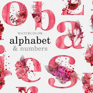 Crimson - Watercolor Alphabet Clipart, floral watercolor monogram clipart, botanical letters and numbers, pastel pink roses wedding