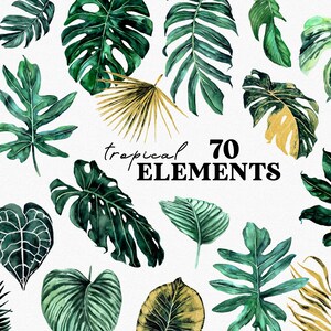 Tropische weelderige aquarel bladeren clipart, tropische jungle blad elementen, exotisch groen botanische bruiloft uitnodiging, groene Monstera palmbladeren