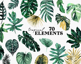 Imágenes prediseñadas de hojas de acuarela exuberantes tropicales, elementos de hojas de la selva tropical, invitación de boda botánica de vegetación exótica, hojas de palma de Monstera verde