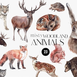 Aquarelle forêt animaux éléments Clipart, Woodland animal cerf, loup, renard, hibou, ours, lynx, orignal, lièvre PNG
