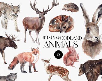 Watercolor Forest animals elements Clipart, Woodland animal Deer, wolf, fox, owl, bear, lynx, moose, hare PNG