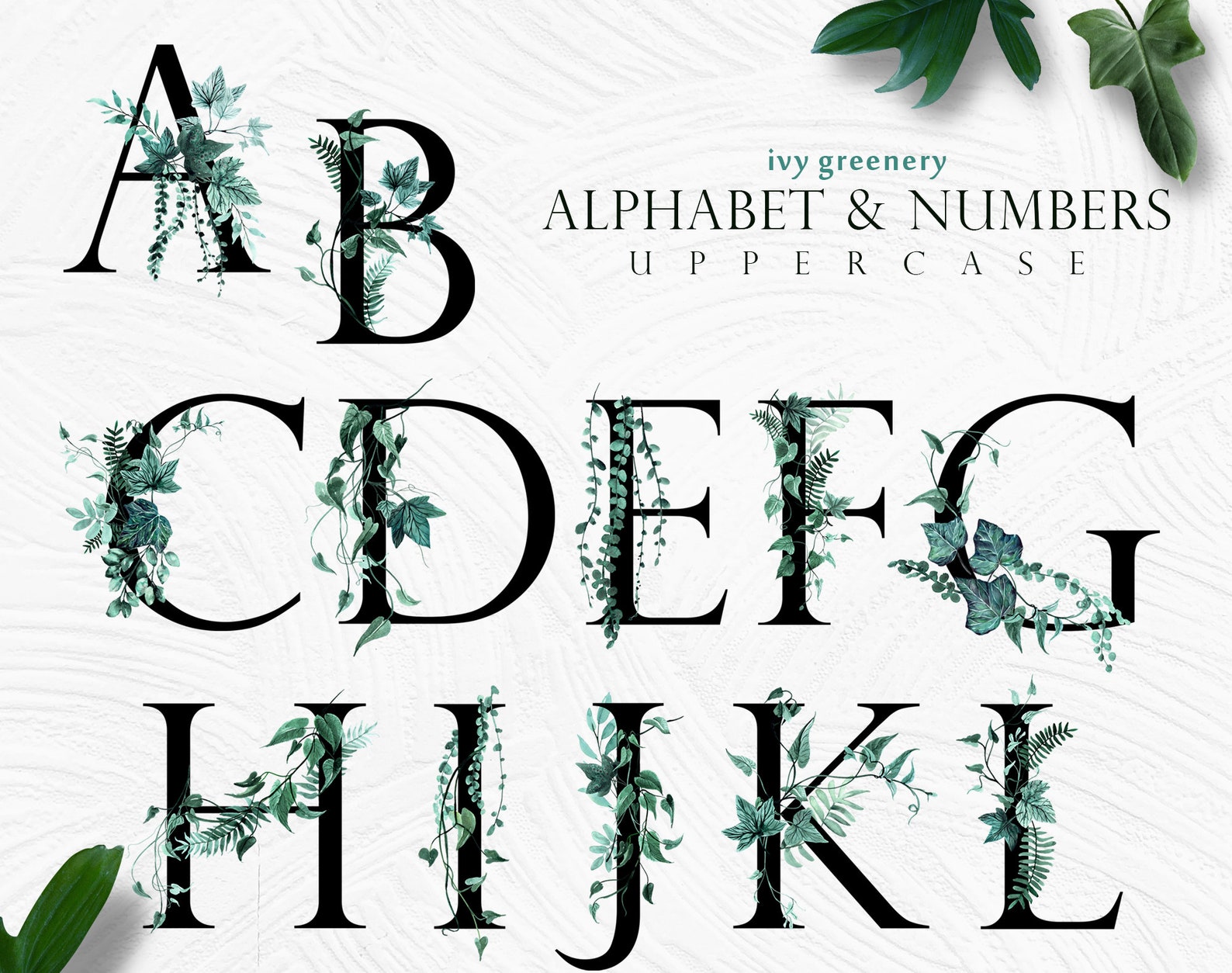 Ivy Greenery Letters and Numbers - Watercolor Clipart, Ivy Leaves ...