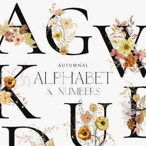 Alphabet d'automne rustique - lettres aquarelles automnales délicates, clipart floral, alphabet automne doux, fleurs séchées chaudes, lettres d'automne
