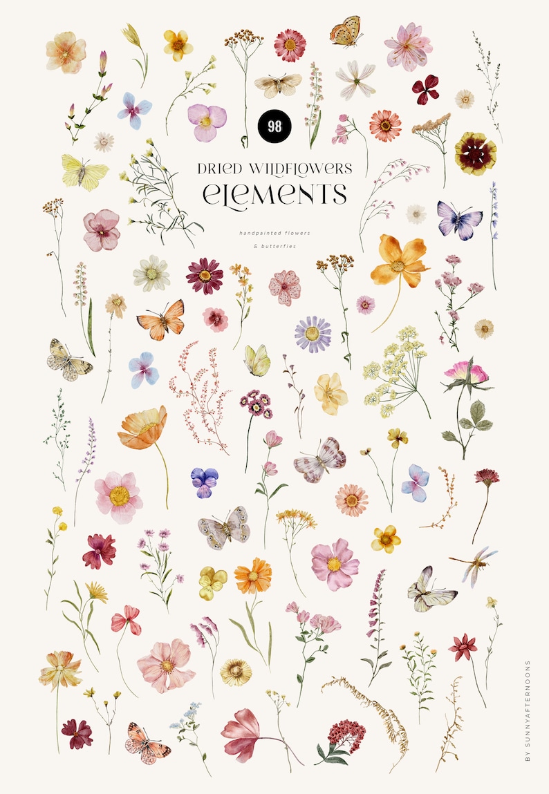 Puede incluir: Una colecci&oacute;n de 98 elementos de acuarela pintados a mano con flores silvestres secas y mariposas. Los elementos son perfectos para crear dise&ntilde;os digitales o f&iacute;sicos, como invitaciones, tarjetas de felicitaci&oacute;n y p&aacute;ginas de &aacute;lbum de recortes.