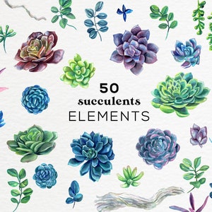 Succulents Floral watercolor clipart, Watercolor floral arrangements, watercolor succulent clipart cactus, floral bouquets wedding clipart