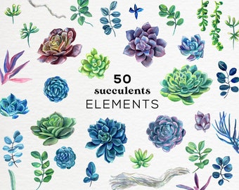 Succulents Floral watercolor clipart, Watercolor floral arrangements, watercolor succulent clipart cactus, floral bouquets wedding clipart