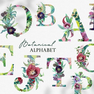 Botanica aquarelle Alphabet Clipart, clipart monogramme aquarelle florale, botanique lettres et chiffres numérique PNG mariage