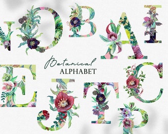 Botanica Watercolor Alphabet Clipart, floral aquarela monograma clipart, letras botânicas e números digital PNG casamento