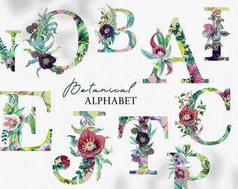 Botanica aquarelle Alphabet Clipart, clipart monogramme aquarelle florale, botanique lettres et chiffres numérique PNG mariage