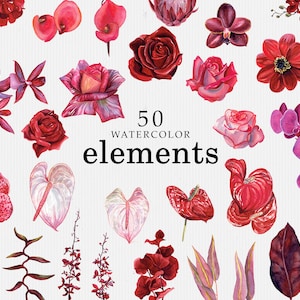 Crimson - Clipart aquarelle florale, Rose orchidée aquarelle fleurs clipart png, feuilles de fleurs rouges, arrangements floraux
