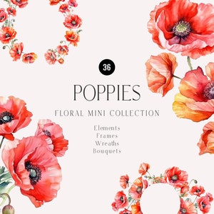 Clipart coquelicot aquarelle, fleurs rouges, rêveur coquelicot PNG, ensemble de fleurs de jardin coquelicots bouquets couronne, carte d’invitation de mariage, clipart floral