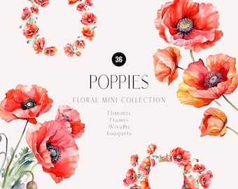 Imágenes prediseñadas de amapola de acuarela, flores rojas, PNG de amapola de ensueño, flores de jardín, ramos de amapolas, conjunto de coronas, tarjeta de invitación de boda, imágenes prediseñadas florales
