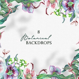 Botanica aquarelle décors Clipart, clipart cadres aquarelle florale, arrière-plans botanique mariage PNG numérique