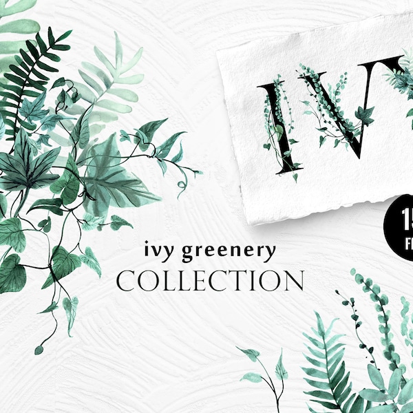 Ivy Greenery Set Watercolor clipart, ivy leaves, modern greenery wedding invitation frame, Foliage leaves painting PNG clipart