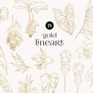 Tropic Mystique Elements DIY Gold Line art exotische clipart, Hand getrokken Jungle bladeren tropische bruiloft uitnodiging, logo bloemen schetsen PNG
