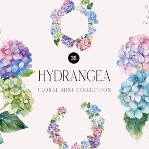 Hydrangea Watercolor Flowers clipart, delicate hydrangeas Elements DIY, hortensia, lacecap, floral clipart PNG, Digital download