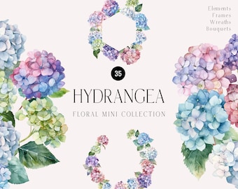 Hydrangea Watercolor Flowers clipart, delicate hydrangeas Elements DIY, hortensia, lacecap, floral clipart PNG, Digital download
