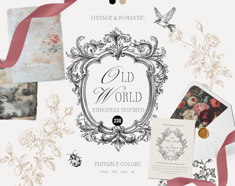 May include: A collection of 230 vintage and romantic illustrations inspired by European design. The illustrations feature ornate frames, floral designs, and a ladybug. The text "Old World European Inspired" is featured in the center of the image.