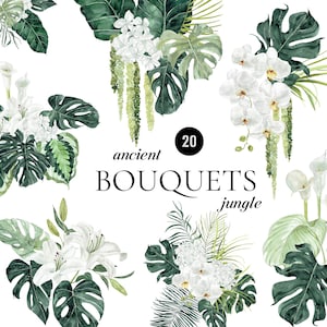 Tropical Aquarell Blumensträuße exotische Clipart Tropen Hochzeit Einladung Dschungel Monstera Palmen Blätter weiße Orchideen Lilien Calla Arrangement PNG