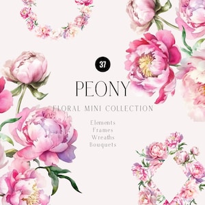 Fleur aquarelle de pivoine, éléments délicats de pivoines bricolage, cadre de pivoines blush, bouquets de fleurs de jardin, carte d'invitation de mariage, clipart floral
