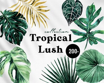 Tropical Lush Watercolor leaves, Jungle clipart, exotic greenery botanical wedding invitation,tropic digital papers,Monstera Palm leaves PNG
