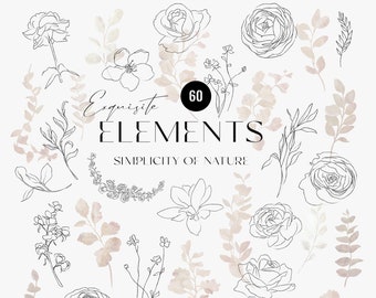 Fine Art botanische Clipart, Vintage florale Elemente, graphit Rosen Hochzeit Design, handgezeichnete abstrakte Blume, florale Linie Kunst Skizzen PNG