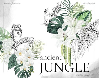 Ancient Jungle Watercolor exotic clipart tropical wedding invite architecture lineart tropics elements Monstera leaves orchid lily calla PNG