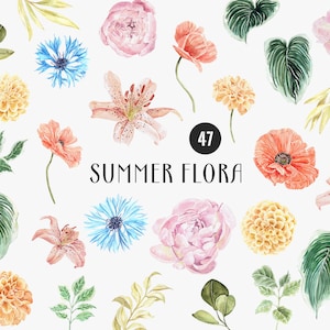 SUMMER Essentials FLORA, aquarelle florale pastel, dahlia, coquelicot, pivoines, lys, bleuets, verdure tropicale, éléments séparés PNG