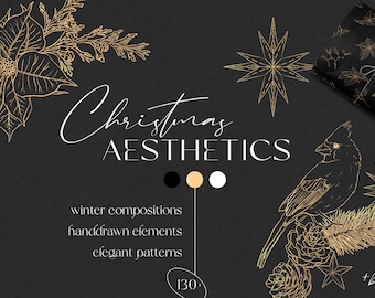 Christmas Aesthetics Clipart, magic winter line art, elegant holidays handdrawn elements, fine art sketched mistletoe poinsettia Digital PNG