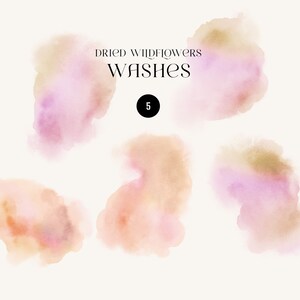 Puede incluir: Cinco lavados de acuarela en tonos rosa, melocot&oacute;n y dorado. Los lavados son abstractos y de forma org&aacute;nica. El texto "Dried Wildflowers Washes" y el n&uacute;mero "5" son visibles en la imagen.