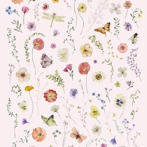 May include: A collection of 138 delicate pressed flowers and insects, including butterflies, dragonflies, and a ladybug. The elements are arranged on a white background and are perfect for crafting or scrapbooking.