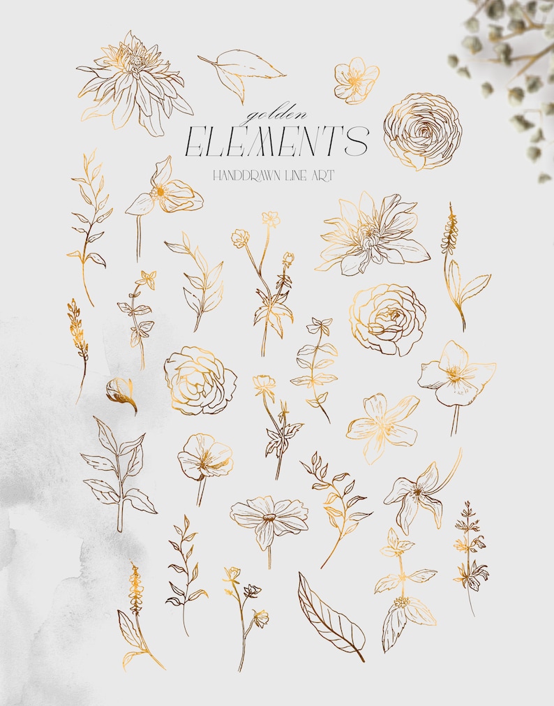 May include: A set of 20 gold line art floral illustrations. The illustrations include flowers, leaves, and stems. The illustrations are perfect for adding a touch of elegance to any project.
