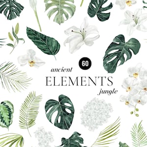 Aquarell exotische Elemente Clipart Tropische Blätter Monstera Tropen Hochzeit Einladung Weiße Blumen Orchidee Lilie Calla PNG Uralter Dschungel