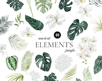 Watercolor exotic Elements clipart Tropical leaves monstera Tropics wedding invite White florals orchid lily calla PNG Ancient Jungle