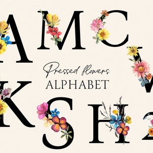 Fleurs pressées Alphabet aquarelle florale - fleurs séchées, herbes, monogramme de fleurs sauvages, lettres botaniques vintage et chiffres PNG numérique