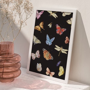 May include: A black and white print featuring a variety of colourful butterflies and insects on a black background. The print is framed in a white frame.