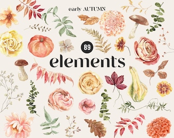 Vroege herfst aquarel elementen bloemen clipart, herfst aquarel bloemen, pompoenen Boho warme bloemen, gezellige pompoen aquarel Rusty PNG DIY