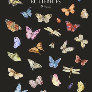 May include: A collection of 45 watercolour illustrations of butterflies and insects. The illustrations are in various colours and feature different species of butterflies and insects. The text "all of my BUTTERFLIES & insects" is written in the centre of the image.
