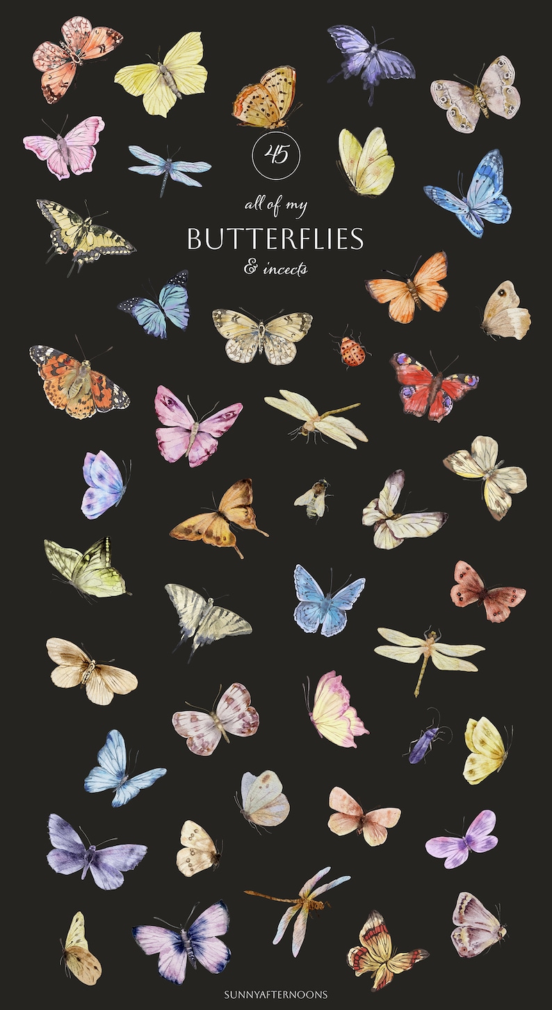 May include: A collection of 45 watercolour illustrations of butterflies and insects. The illustrations are in various colours and feature different species of butterflies and insects. The text "all of my BUTTERFLIES & insects" is written in the centre of the image.
