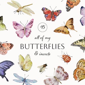 May include: A collection of 45 watercolour illustrations of butterflies and insects. The illustrations feature a variety of colours and patterns, including yellow, blue, green, orange, red, and purple. The text "all of my BUTTERFLIES & insects" is written in the centre of the image.