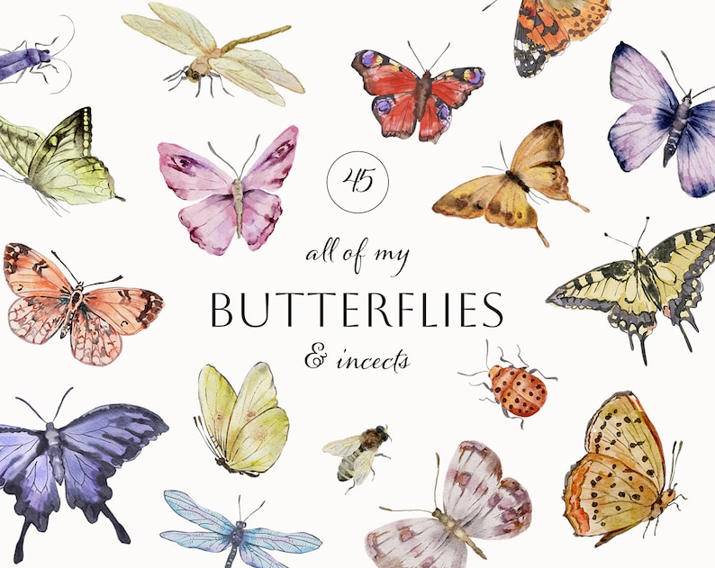 May include: A collection of 45 watercolour illustrations of butterflies and insects. The illustrations feature a variety of colours and patterns, including yellow, blue, green, orange, red, and purple. The text "all of my BUTTERFLIES & insects" is written in the centre of the image.