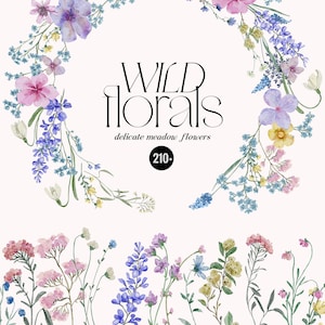 Clipart floreale di fiori selvatici dell'acquerello Wild Florals, fiori pressati delicati, piccoli fiori morbidi, invito a nozze in giardino estivo PNG