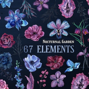Nachtelijke tuinelementen, donkere aquarel bloemstukken, bloemen illustratie mystieke magische gescheiden elementen digitale PNG