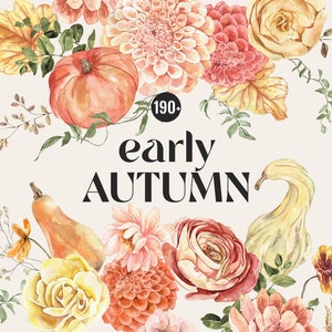 Début automne aquarelle Floral Clipart, automne fleurs aquarelle, citrouilles Boho éléments floraux chauds, confortable citrouille aquarelle cadres rouillé