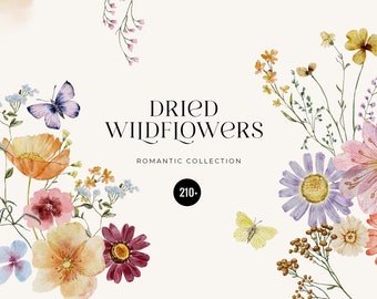 Dried Wildflowers Watercolor clipart, Delicate pressed wild flowers, Tiny florals elements, Summer Meadow field Flowers wedding invititation